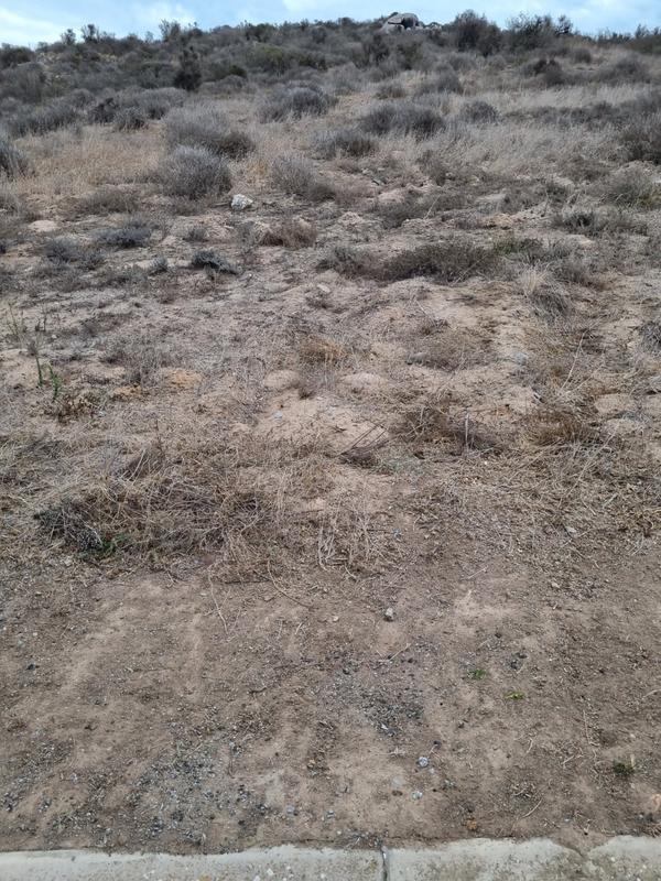0 Bedroom Property for Sale in Saldanha Rural Western Cape
